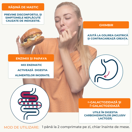 DigeStyl PRE pentru susținerea digestiei și tranzitului intestinal, pentru indigestie cronică