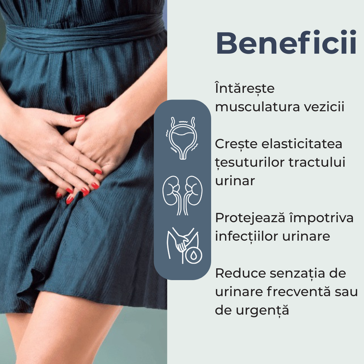 Incontinox capsule pentru incontinență urinară și sănătatea tractului urinar
