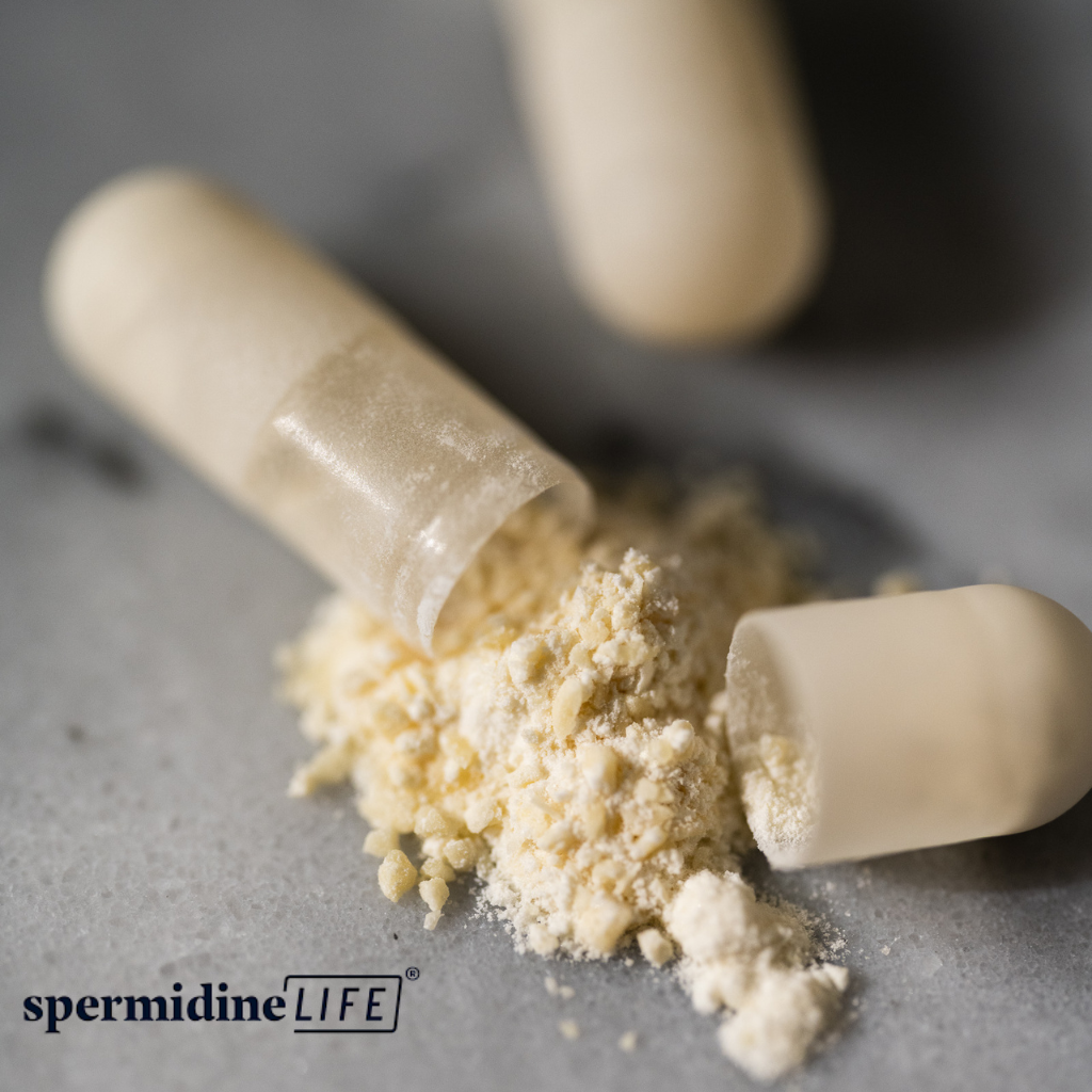 SpermidineLIFE® Essential 1 mg - Supliment alimentar pentru regenerare celulară