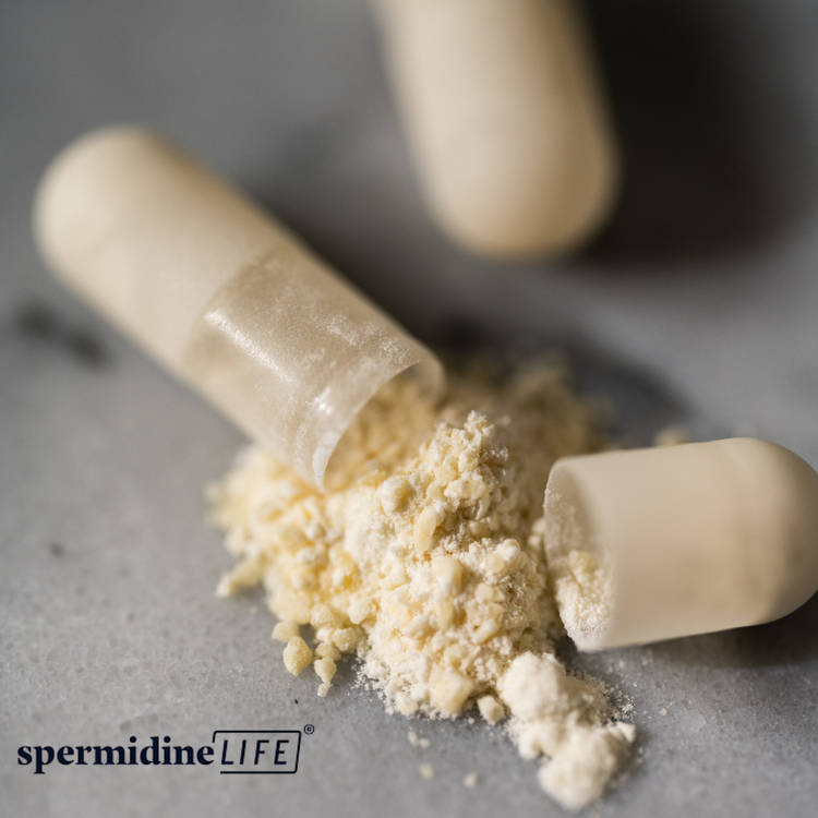 Spermidine LIFE® Original 365+ 2 mg-Supliment alimentar pentru regenerare celulară, 60 capsule