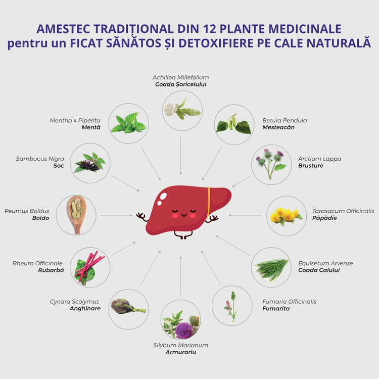 Depurativo Rheum pentru sănătatea ficatului și detoxifierea organismului