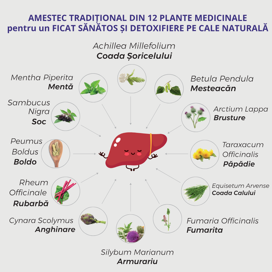 Depurativo Rheum pentru sănătatea ficatului și detoxifierea organismului, 250 ml