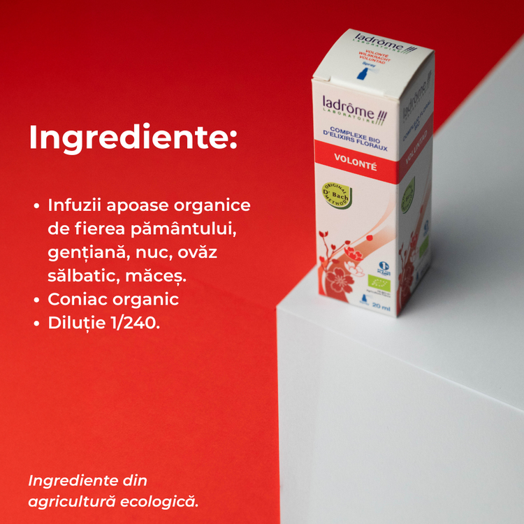 Complex bio din elixiruri florale Bach - VOINȚĂ