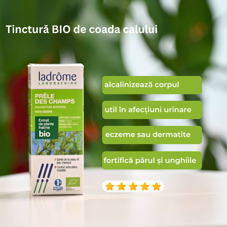 Tinctură Bio de Coada Calului - Equisetum Arvense
