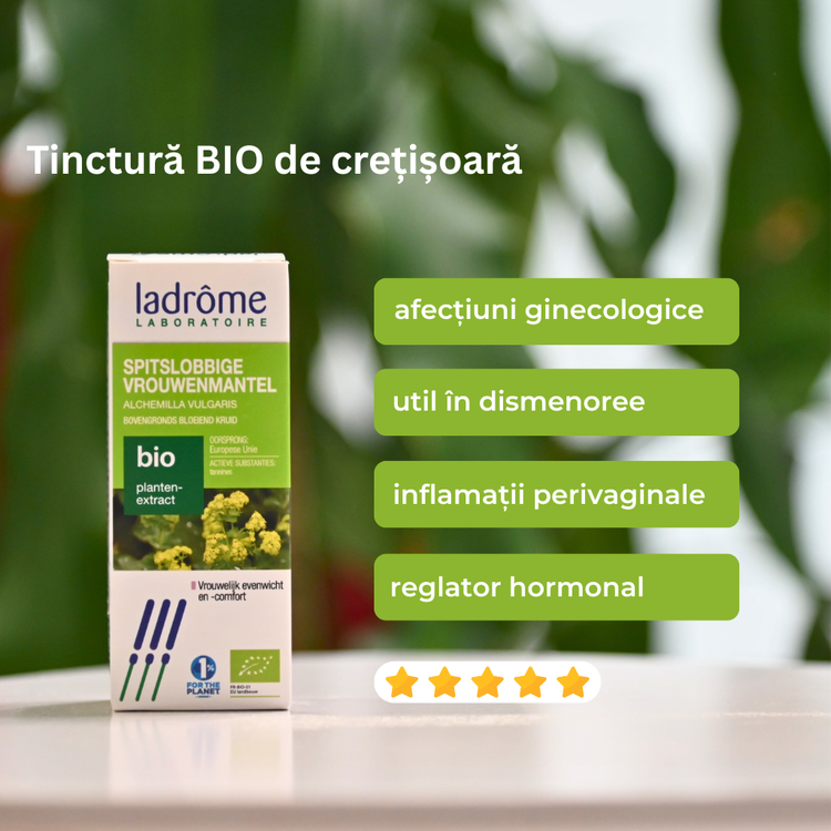 Tinctură Bio de Crețișoară - Alchemilla vulgaris