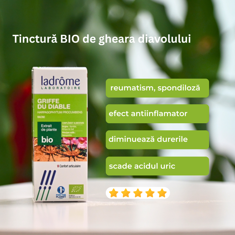Tinctură Bio de Gheara Diavolului - Harpagophytum procumbens