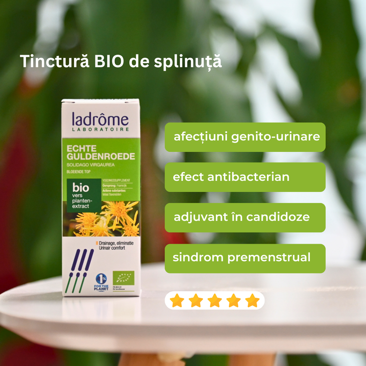 Tinctură Bio de Splinuță - Solidago virgaurea