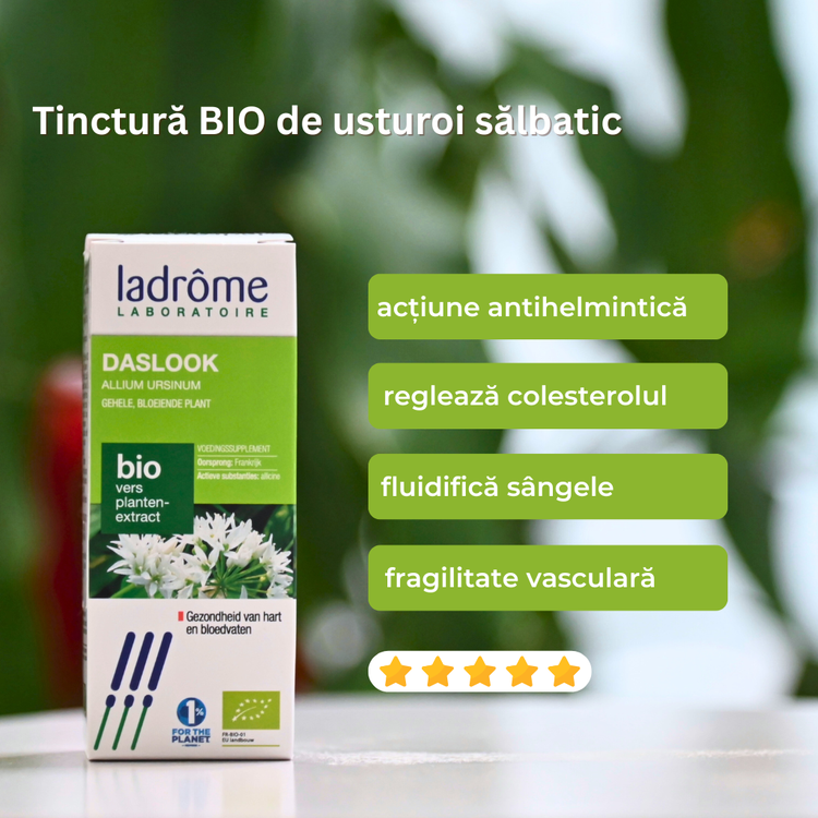 Tinctură Bio de Usturoi Sălbatic/ Leurdă - Allium ursinum