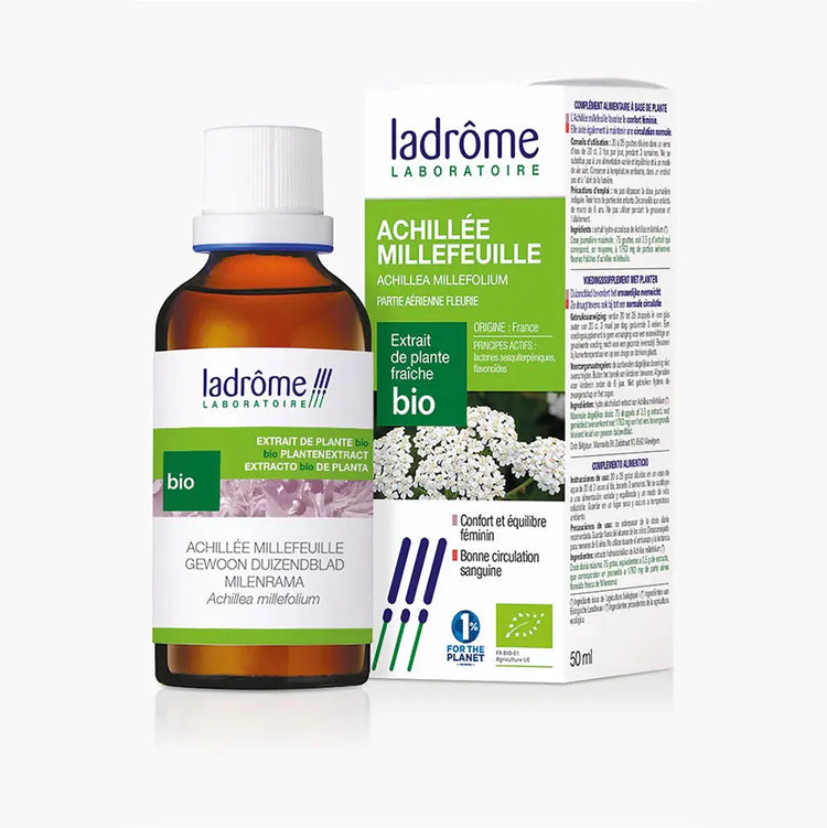 Tinctură Bio de Coada Șoricelului- Achillea millefolium