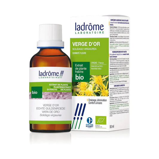 Tinctură Bio de Splinuță - Solidago virgaurea