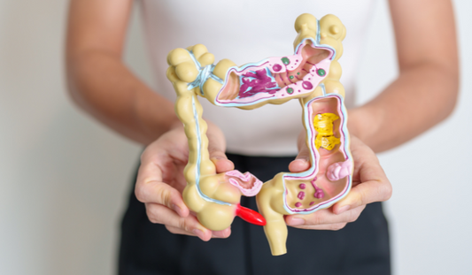 Enzimele digestive: Motoarele invizibile ale corpului tău