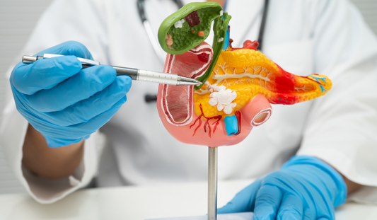 Colecistul, unul dintre cele mai ignorate organe digestive