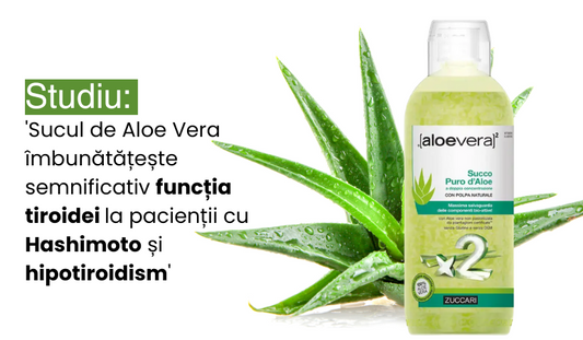 Beneficiile sucului pur de Aloe Vera pentru sănătatea tiroidei. Ce spun studiile?
