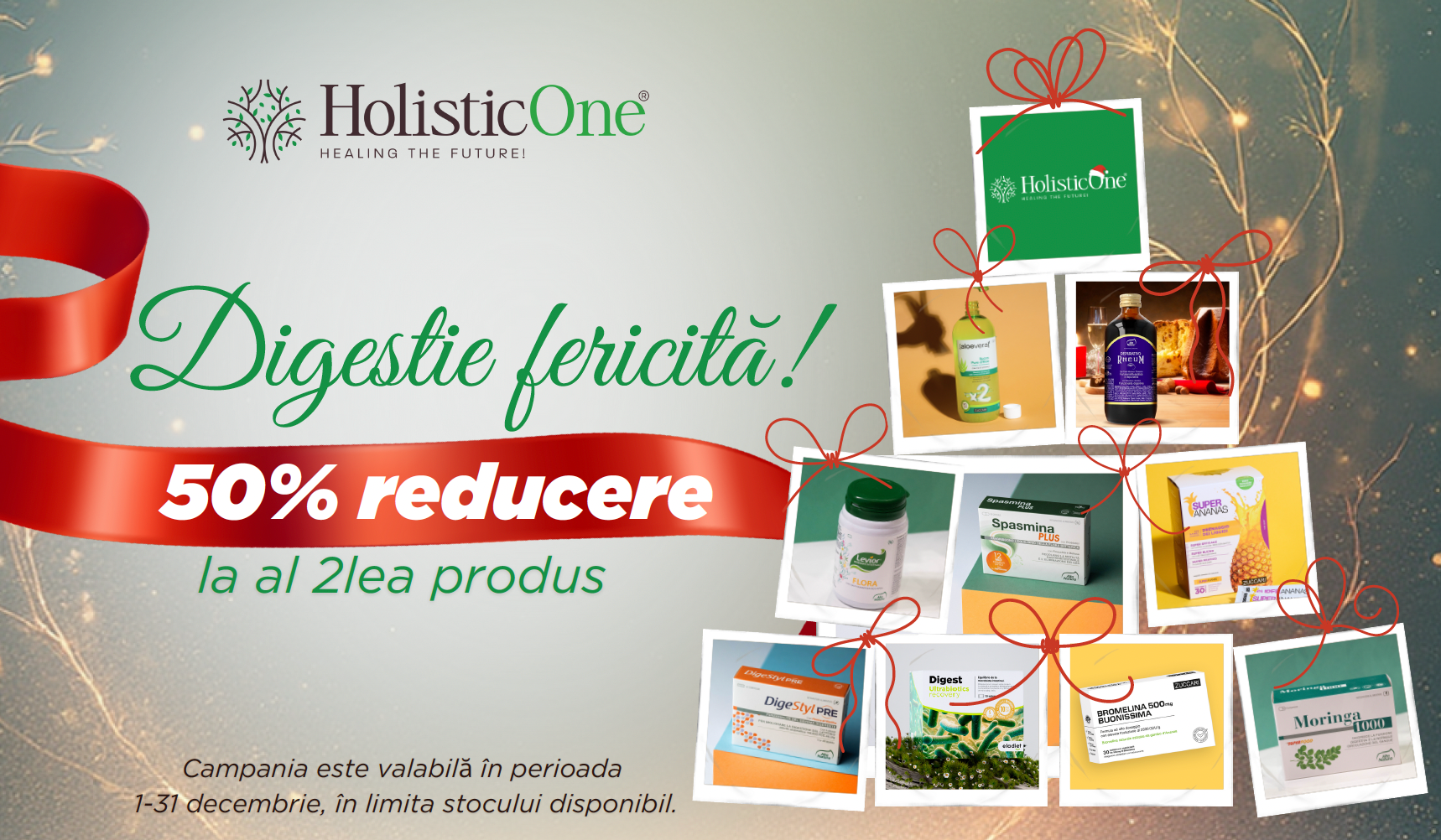 Holistic-One.ro