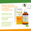 Extract de Propolis Bio