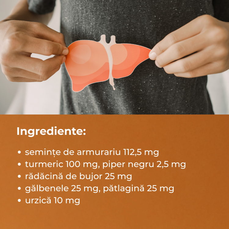 Gastroval Hepar Capsule pentru protejarea ficatului și echilibrarea nivelului de lipide