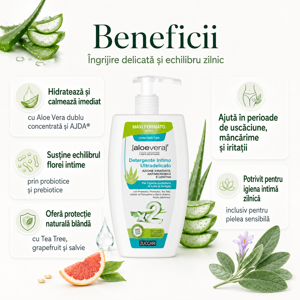 Ingredientele active gel intim Zuccari – Tea Tree, Aloe Vera, probiotice, acid hialuronic, tea tree, extract de grapefruit, salvie