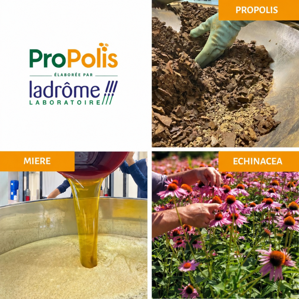 Sirop Propolis Bio Ladrôme cu propolis, miere și echinacea