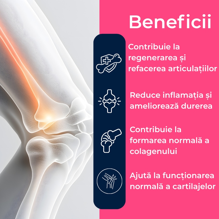 Regendol FORTE Supliment alimentar pentru articulații, mușchi și oase