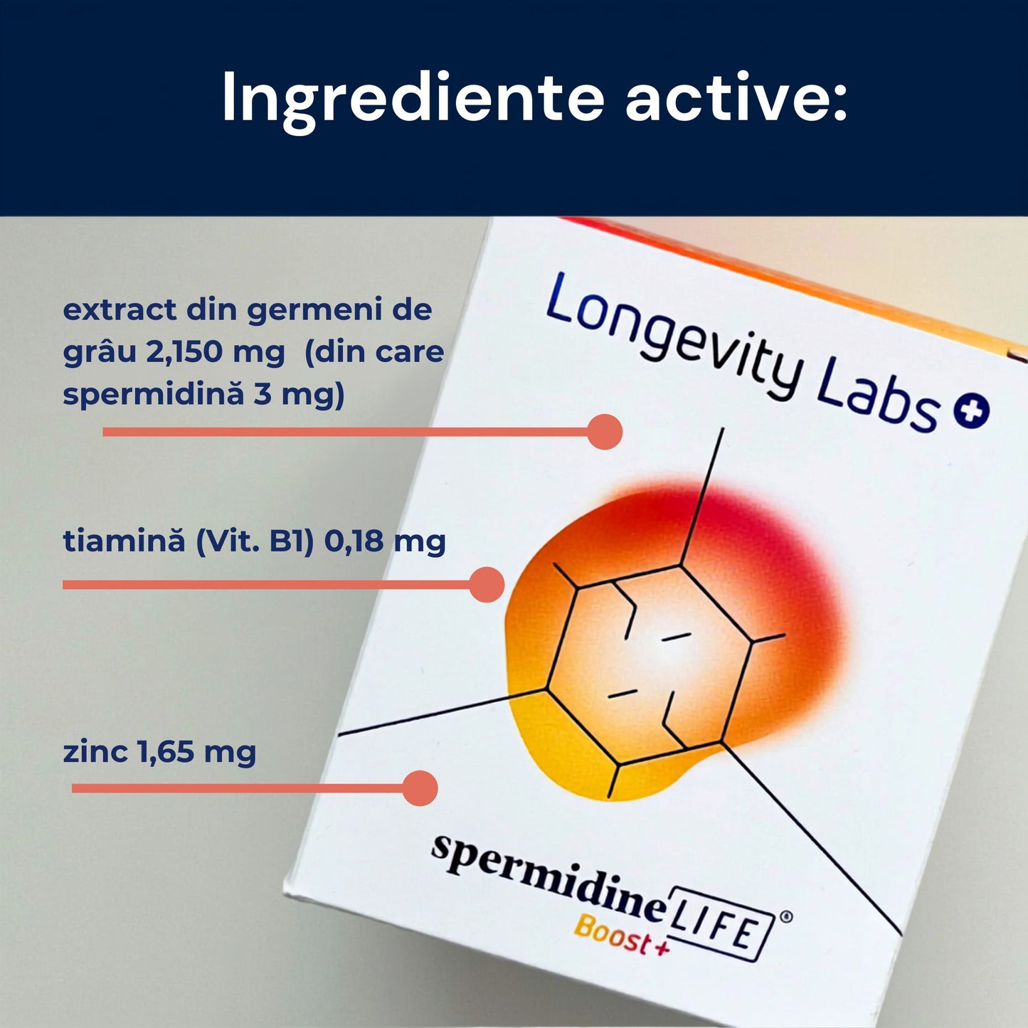Spermidine LIFE® Boost+ 3 mg - Supliment alimentar pentru regenerare celulară