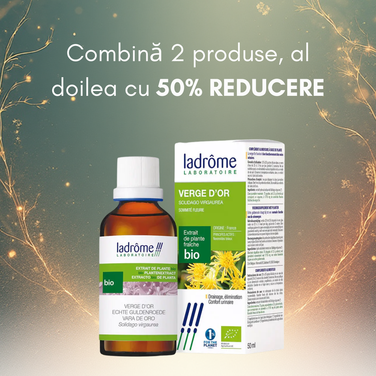 Tinctură Bio de Splinuță - Solidago virgaurea