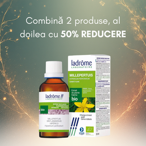 Tinctură Bio de Sunătoare – Hypericum Perforatum