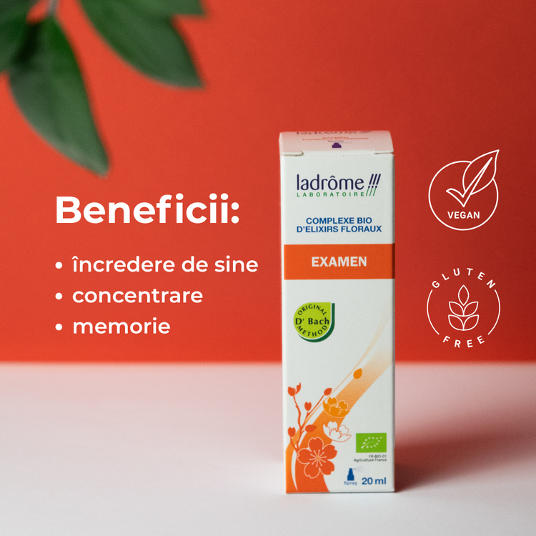 Complex bio din elixiruri florale Bach - EXAMEN