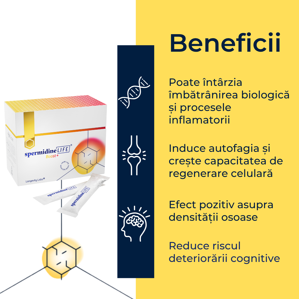 Beneficiile SpermidineLIFE® Boost+ – spermidină 3mg, tiamină, zinc, reînnoire celulară