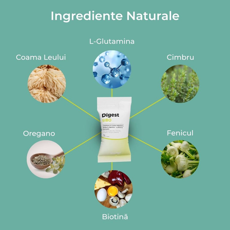 Digest SIBO - Echilibrul florei intestinale