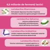 Probiotice și Prebiotice Florap Lady - Sănătate Intimă și Flora Vaginală, 20 Capsule
