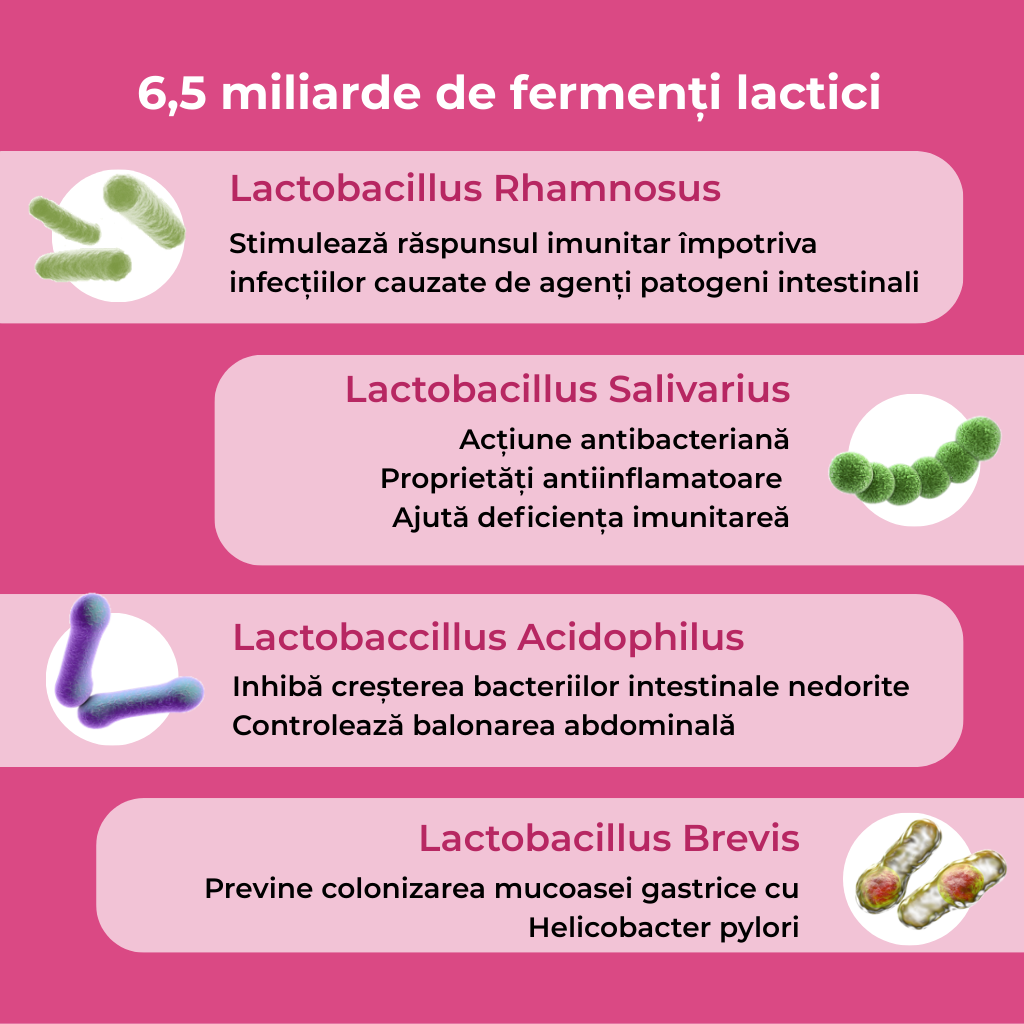 Probiotice și Prebiotice Florap Lady - Sănătate Intimă și Flora Vaginală, 20 Capsule