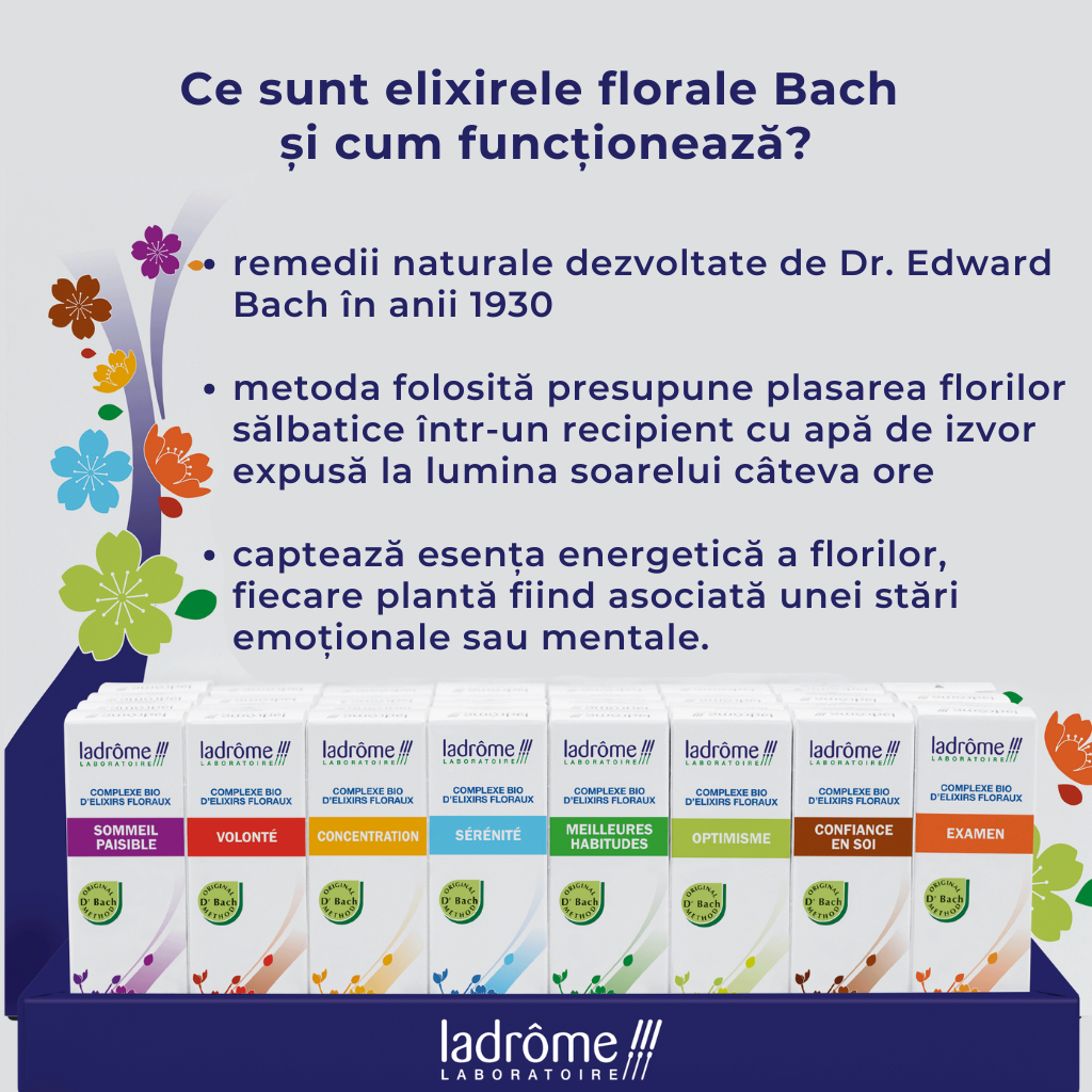 Complex bio din elixiruri florale Bach - EXAMEN