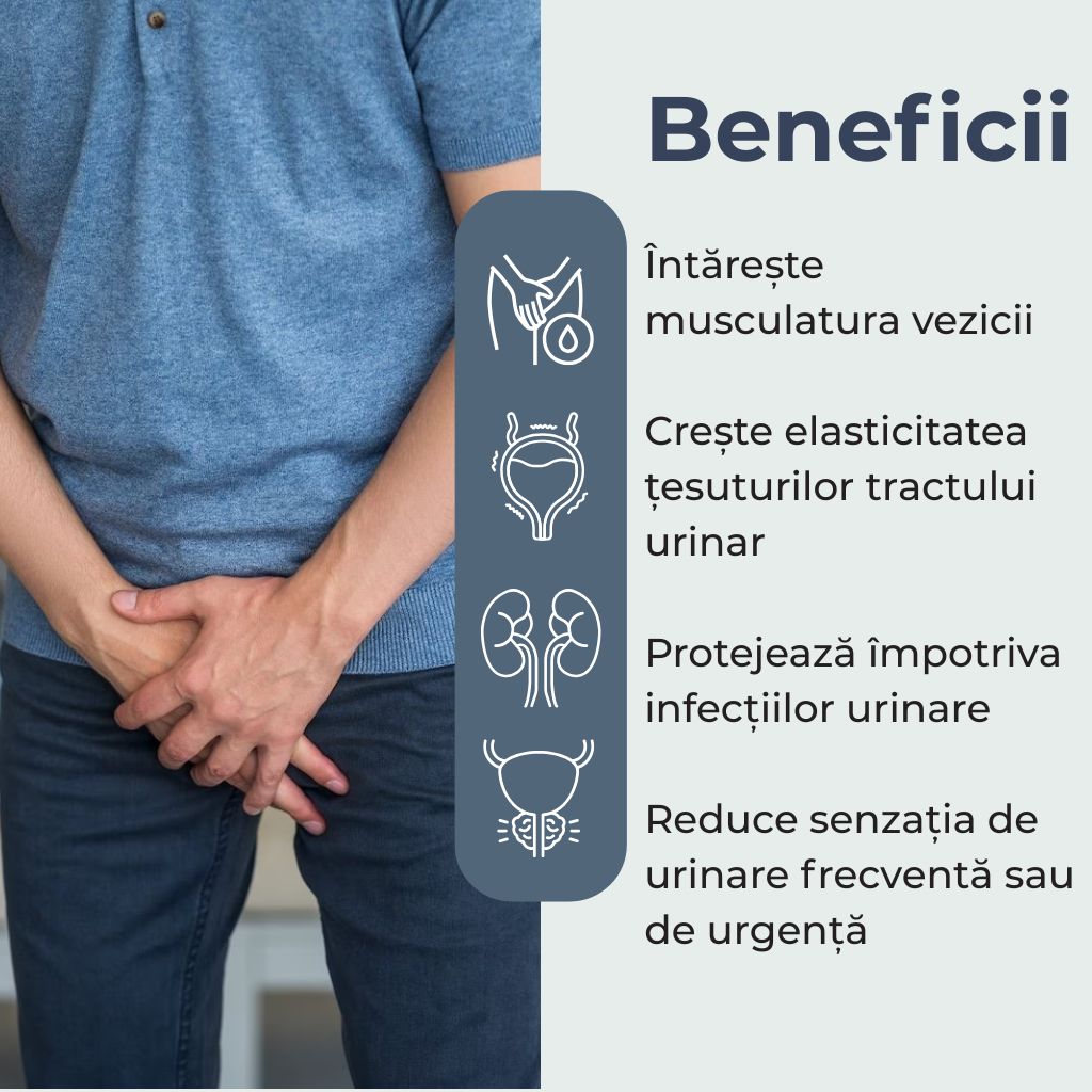 Incontinox capsule pentru incontinență urinară și sănătatea tractului urinar