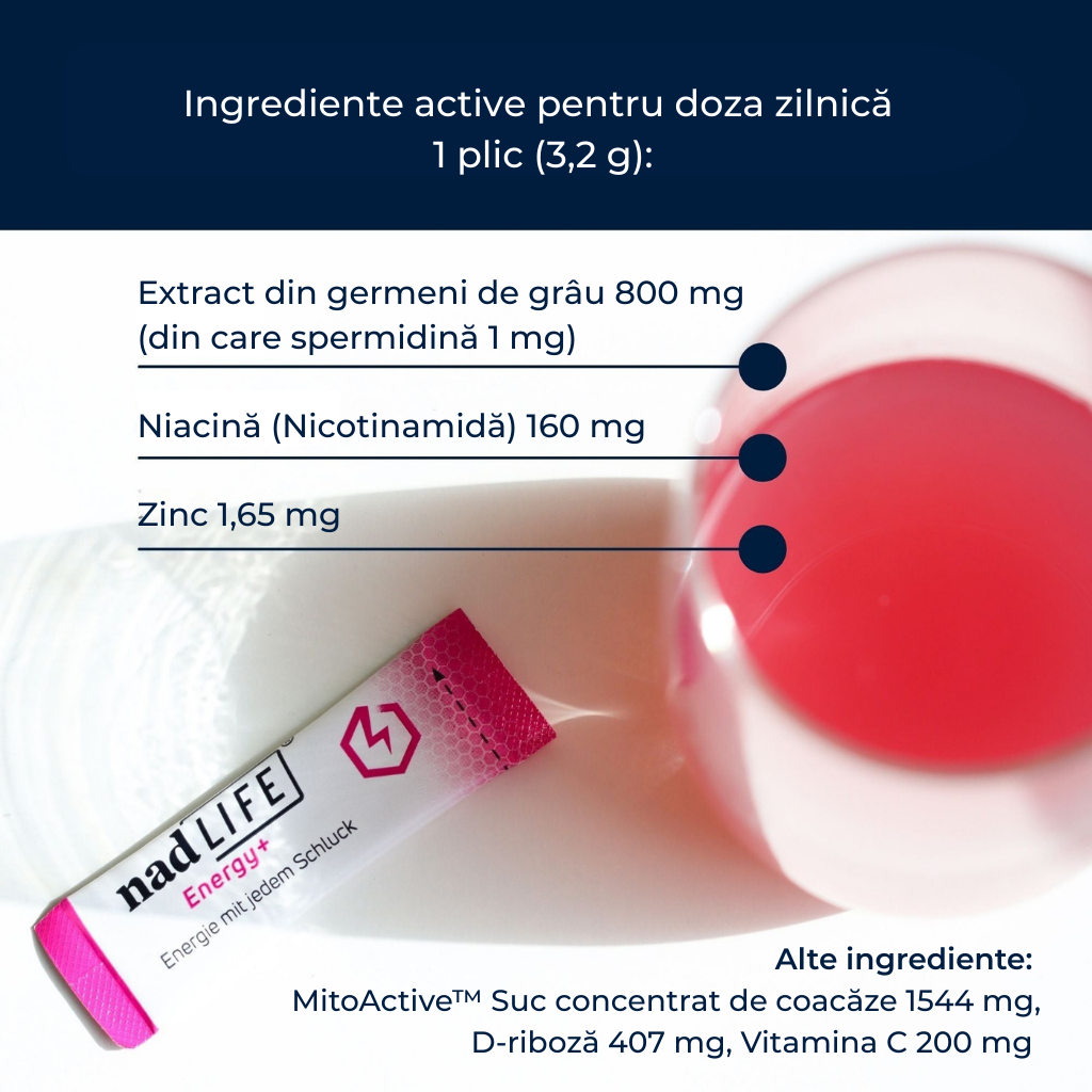 Ingrediente NadLIFE Energy+ – CelVio Complex, RiaGev, MitoActive, niacină 1000% DZR