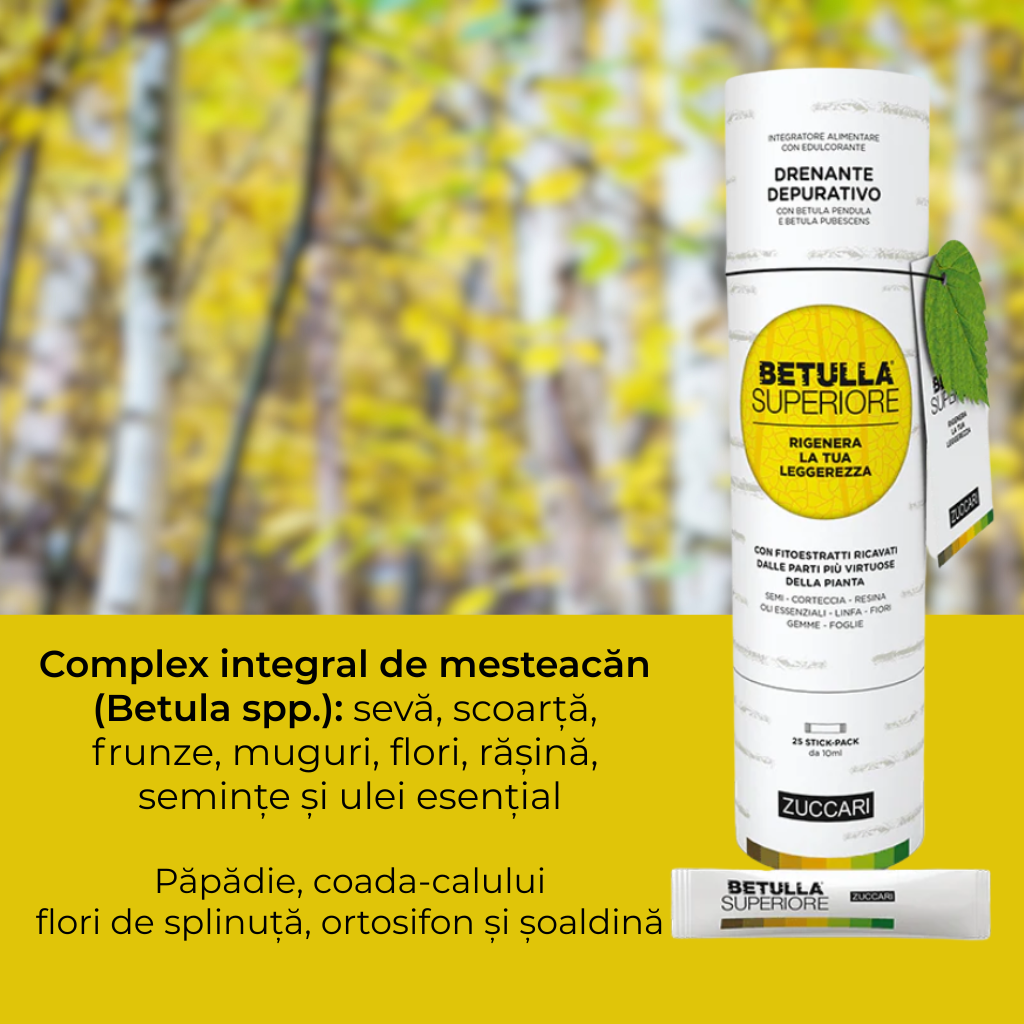 BETULLA SUPERIORE® - Supliment detoxifiere pe bază de mesteacăn