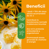 IMMUNO+ Propolis Fiole Bio pentru susținerea imunității