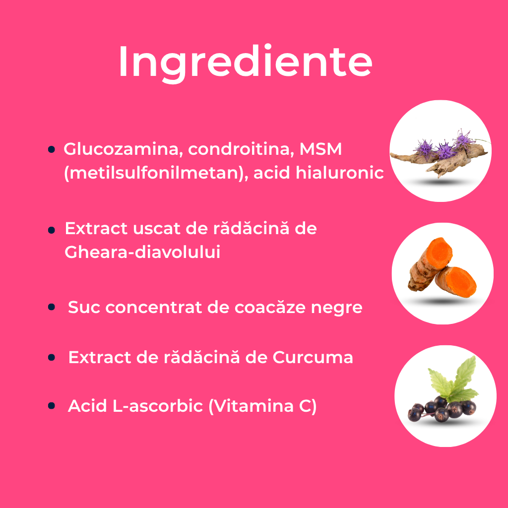 Regendol FORTE, fiole buvabile, Supliment alimentar pentru articulații, mușchi și oase