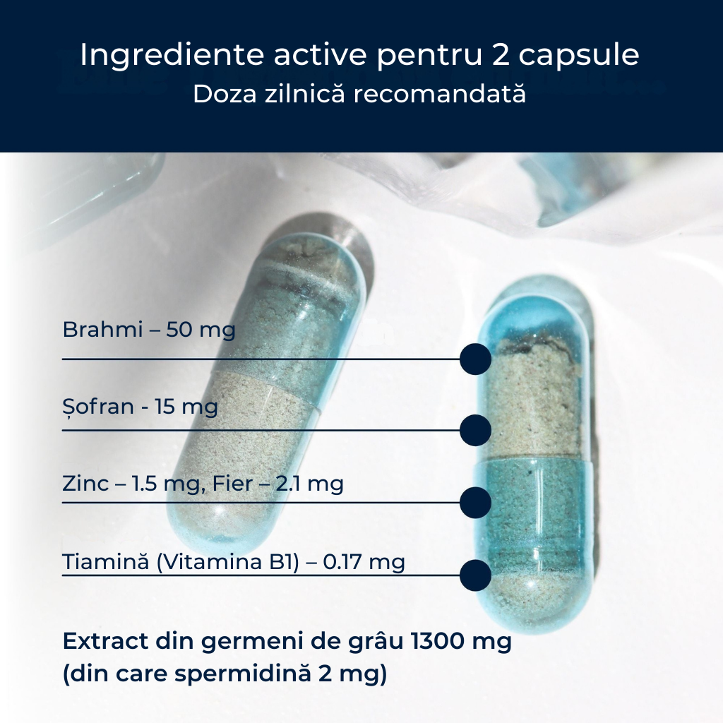 SpermidineLIFE® Memory+ 2 mg- Suport pentru memorie și sănătatea cerebrală