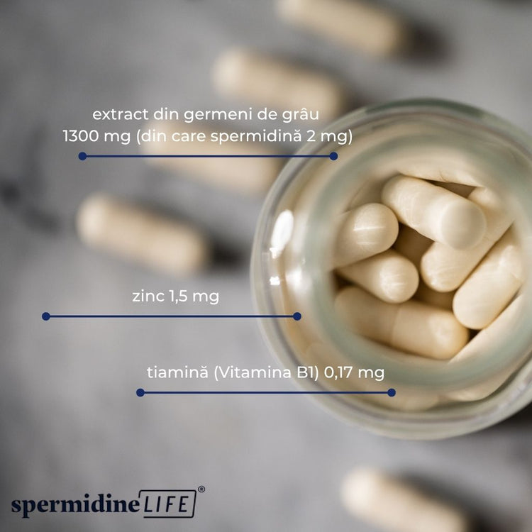Spermidine LIFE® Original 365+ 2 mg-Supliment alimentar pentru regenerare celulară