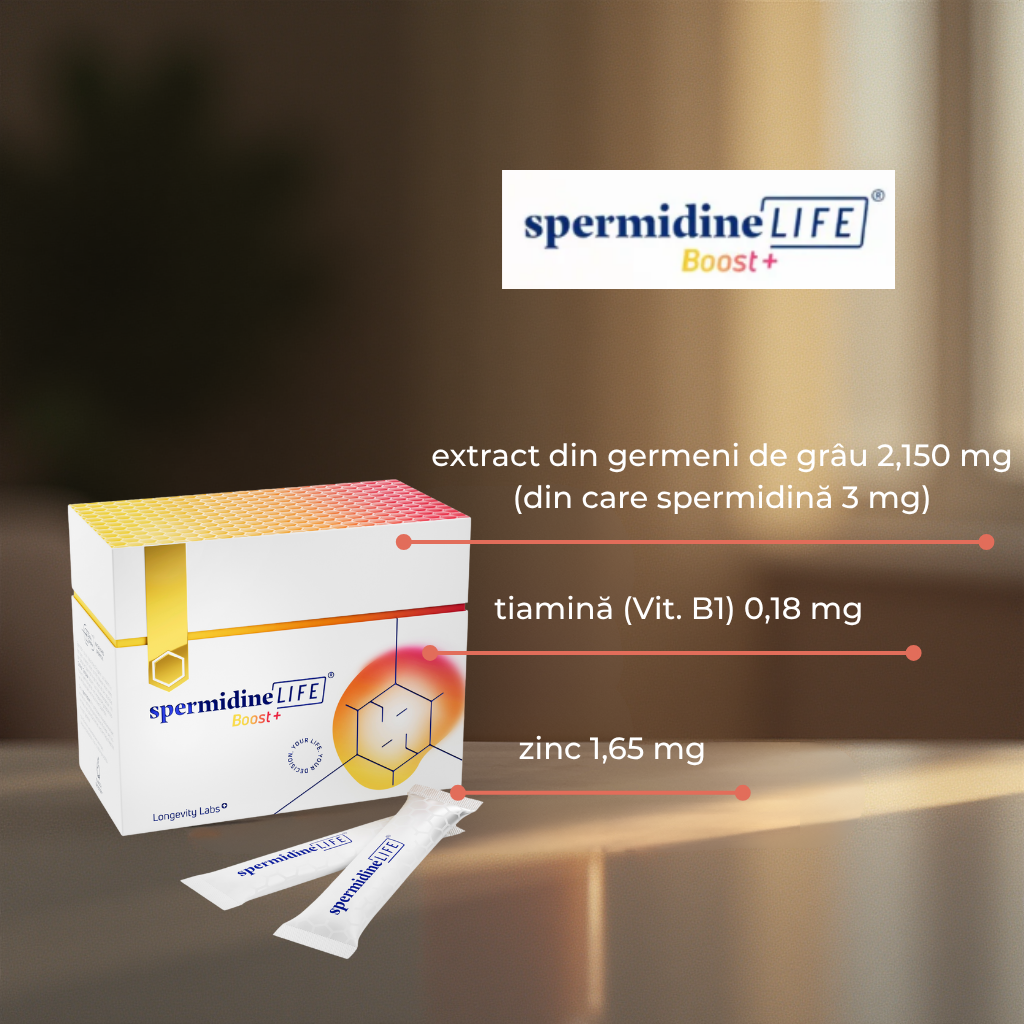 Ingrediente SpermidineLIFE® Boost+ 3mg – spermidină din germeni de grâu, tiamină, zinc