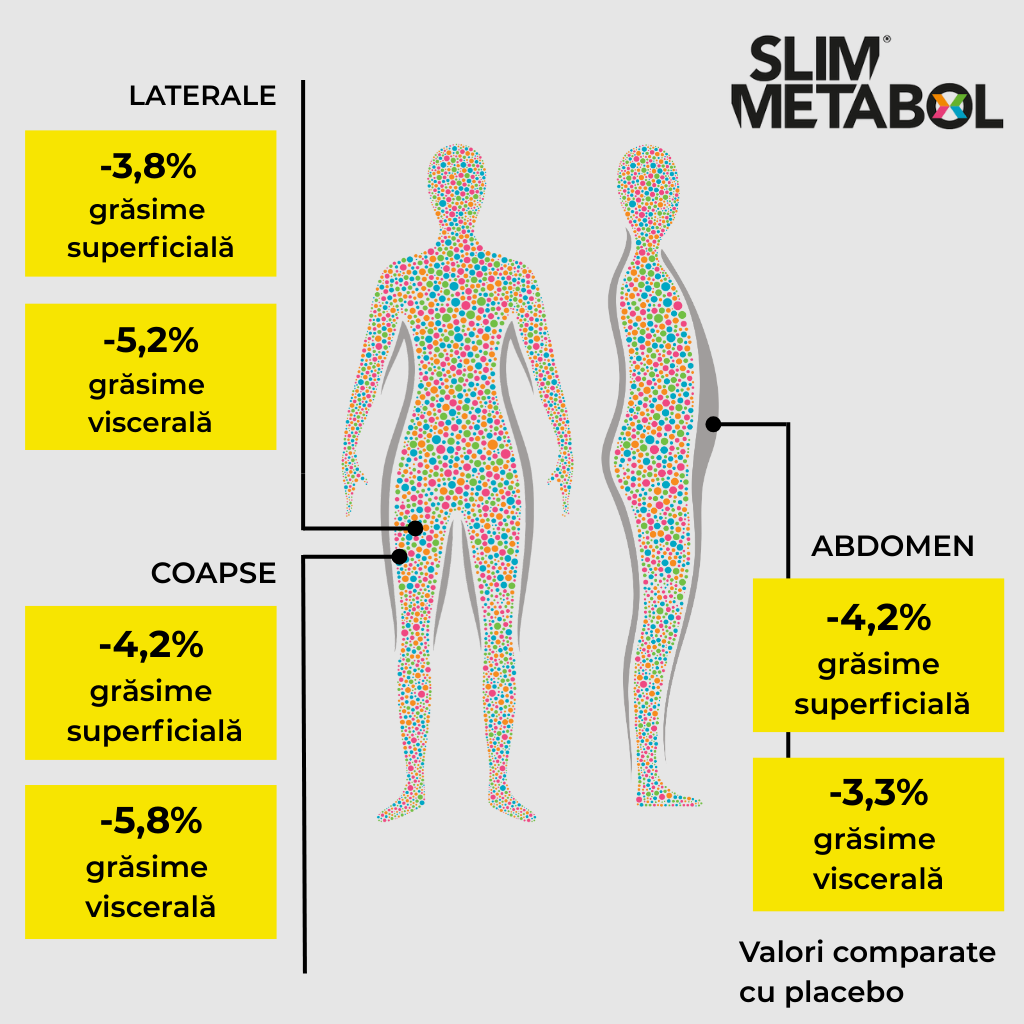 Slim Metabol - rezultate studiu clinic, reducerea stratului adipos 