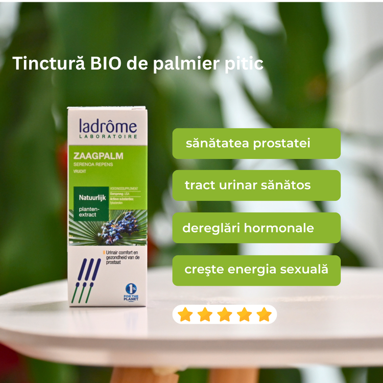 Tinctură de Palmier Pitic - Serenoa repens