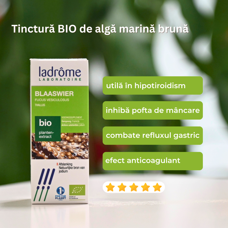 Tinctură Bio de Algă Marină Brună - Fucus vesiculosus