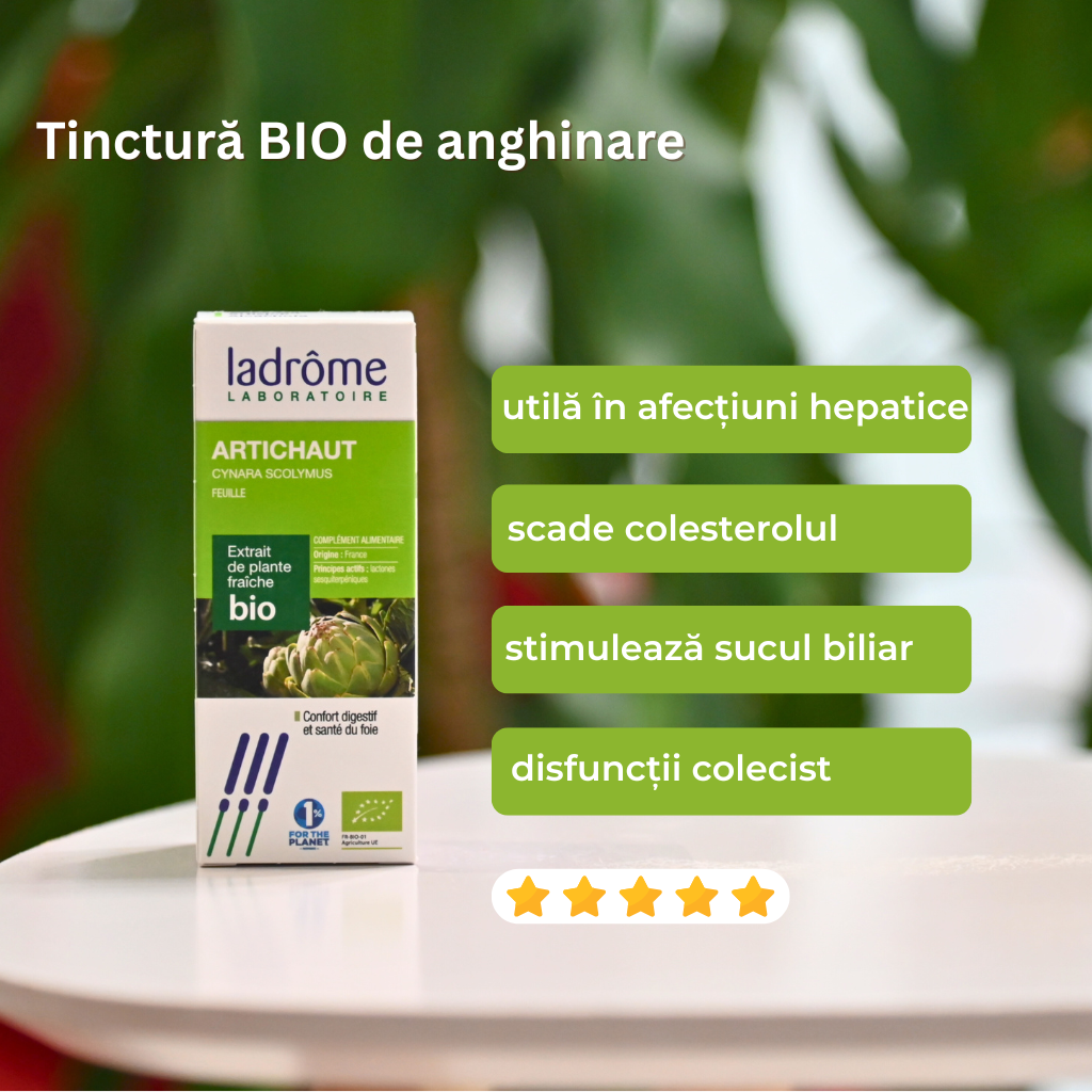 Tinctură Bio de Anghinare - Cynara scolymus