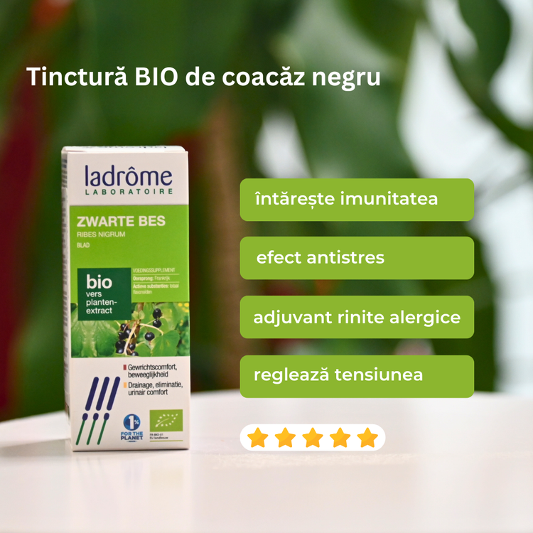 Tinctură Bio de Coacăz Negru – Ribes Nigrum