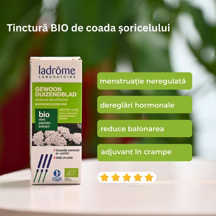 Tinctură Bio de Coada Șoricelului- Achillea millefolium