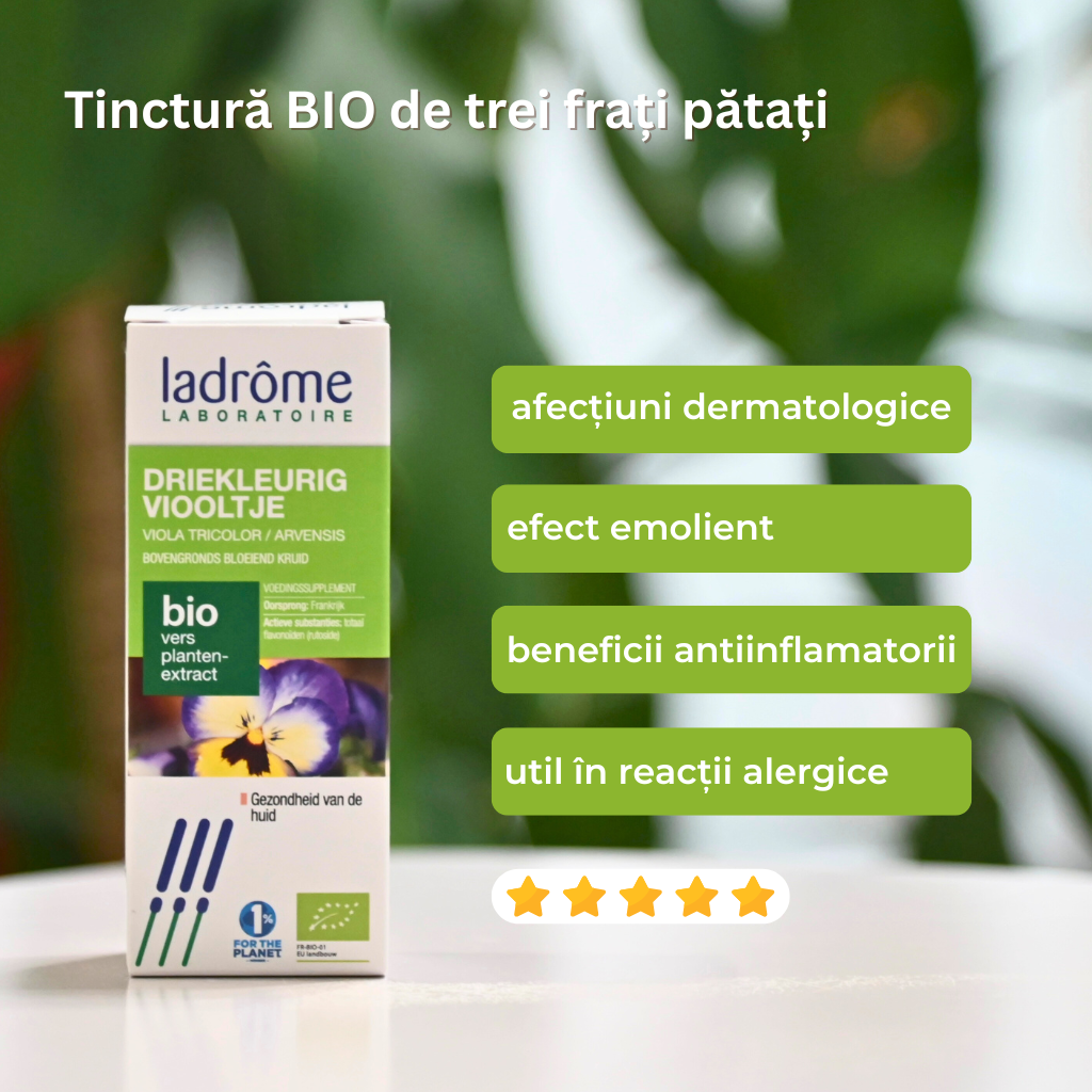 Tinctură Bio de Trei Frați Pătați - Viola tricolor /arvensi