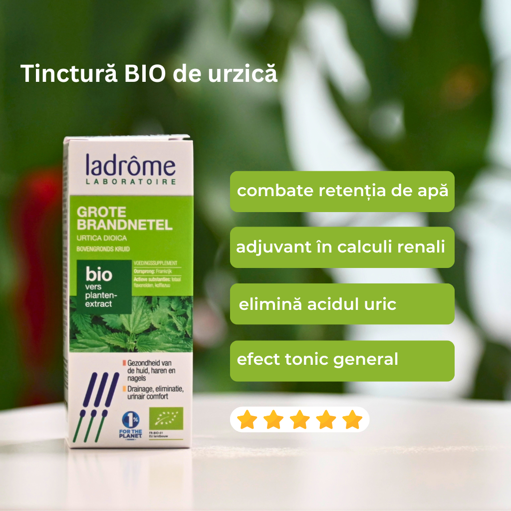 Tinctură Bio de Urzică – Urtica dioica