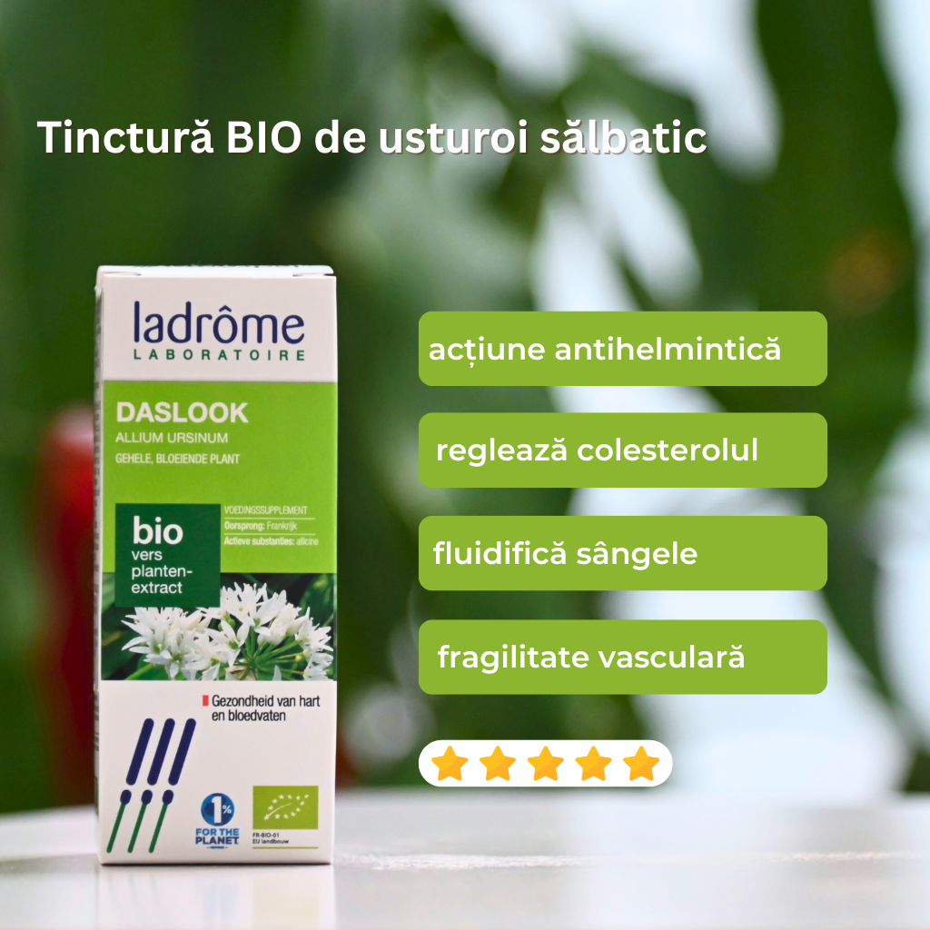 Tinctură Bio de Usturoi Sălbatic/ Leurdă - Allium ursinum