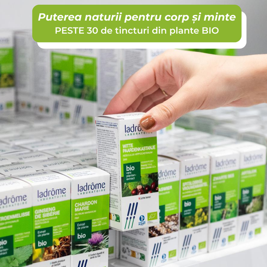 Tinctură Bio de Anghinare - Cynara scolymus